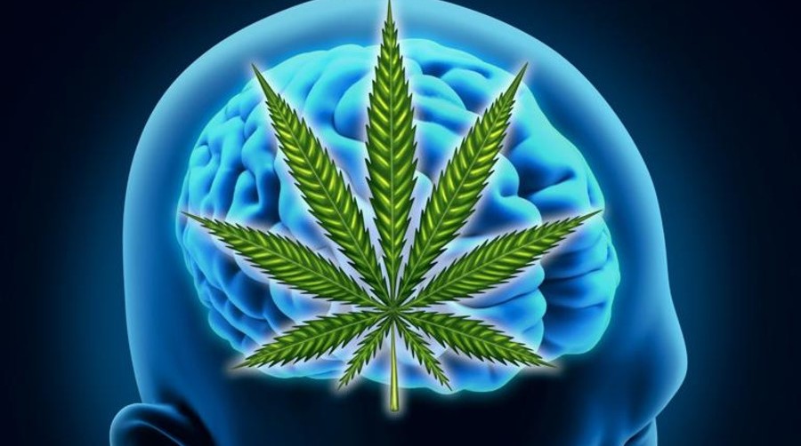 Medical Marijuana For Mental Health