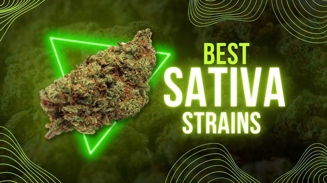 Best Sativa Strains