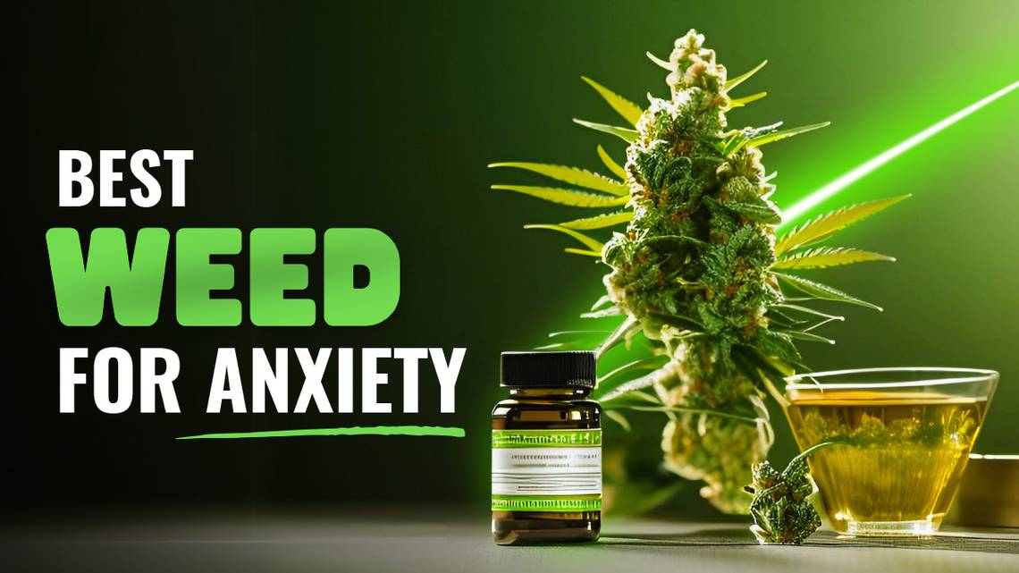 Best Weed for Anxiety in 2024