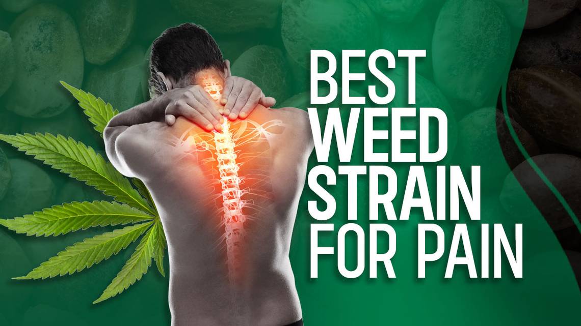 Best Weed Strain for Pain Relief