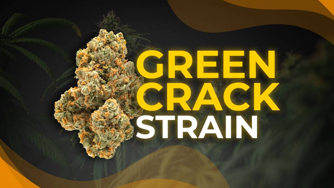 Green Crack Strain Information