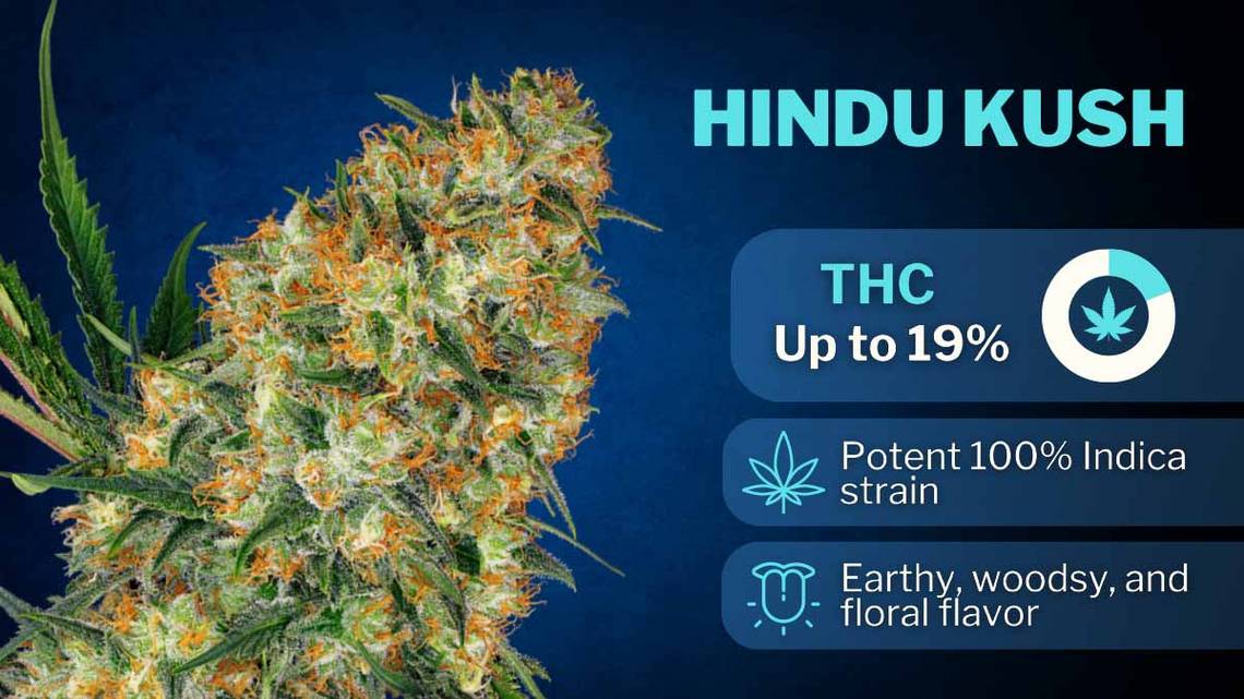 Hindu Kush