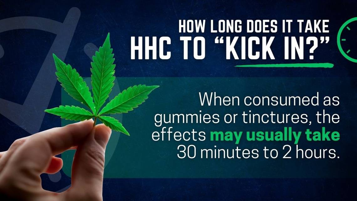 How Long Does It Take HHC to Kick In