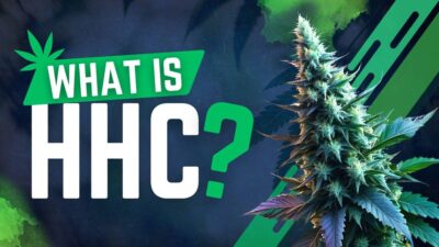 What is HHC?