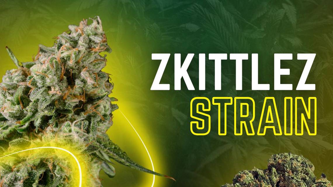 Zkittlez Strain