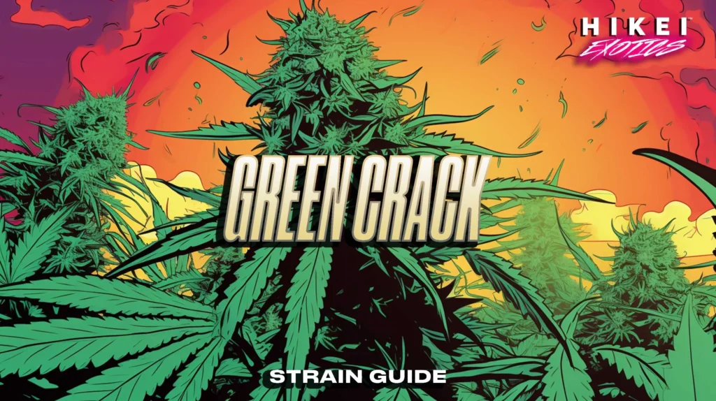 Green Crack