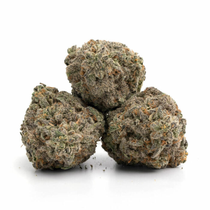 Kush Mints Strain