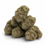 Mac and Cheese Strain